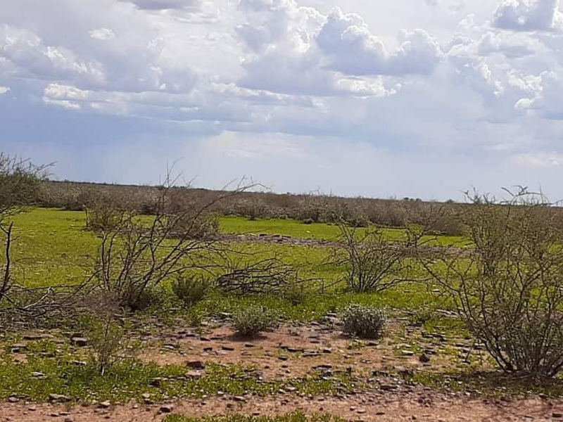 Farm For Sale - Photo 2