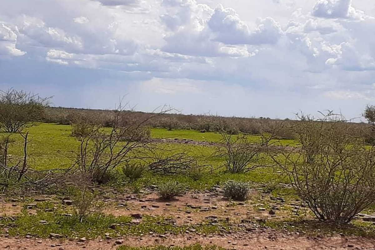 Farm For Sale - Photo 2