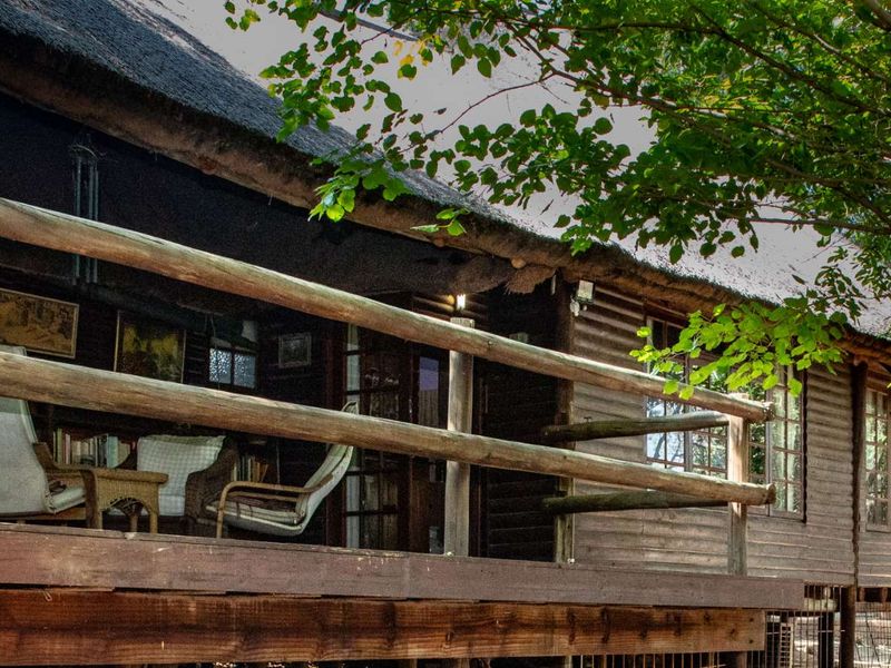 Charming Turnkey Investment – Character-Filled Thatch Roof Home - Photo 2