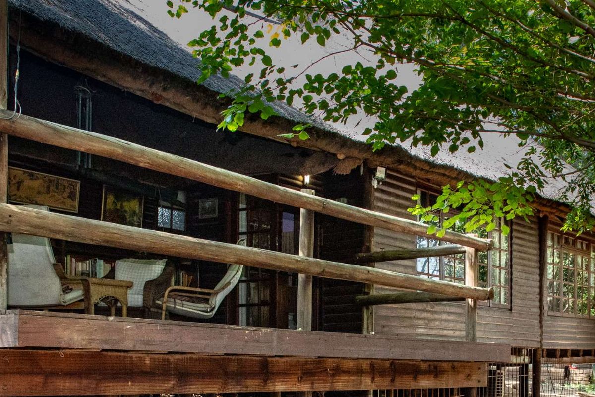 Charming Turnkey Investment – Character-Filled Thatch Roof Home - Photo 2