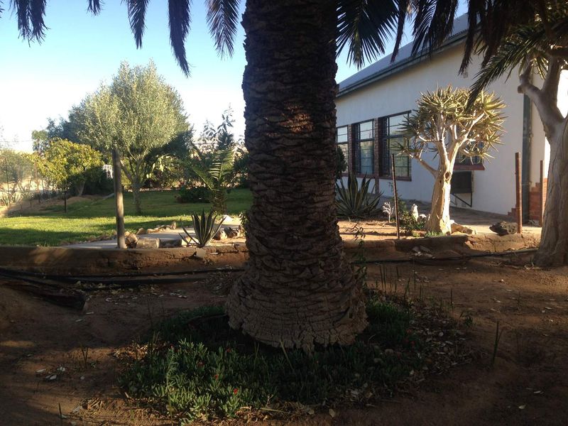 PLOT FOR SALE IN KARASBURG - Photo 7