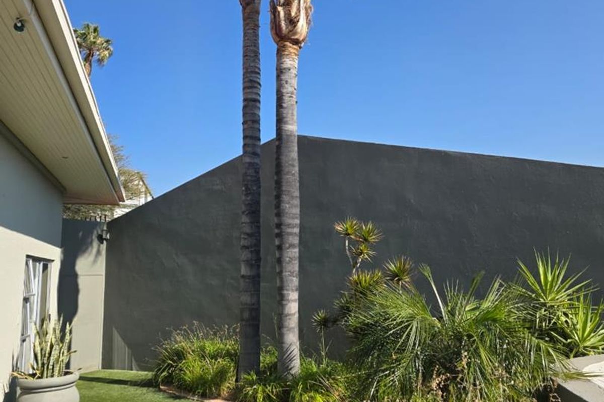 A well-maintained rear garden area featuring artificial turf, mature palm trees, and a solid boundary wall providing privacy.