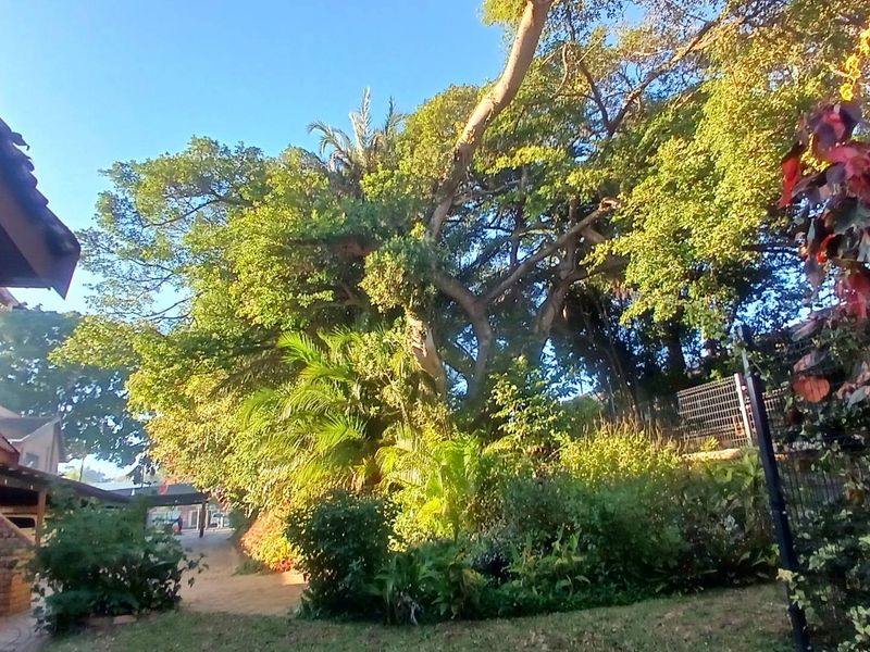 Prime location, perfect small family home - Photo 5