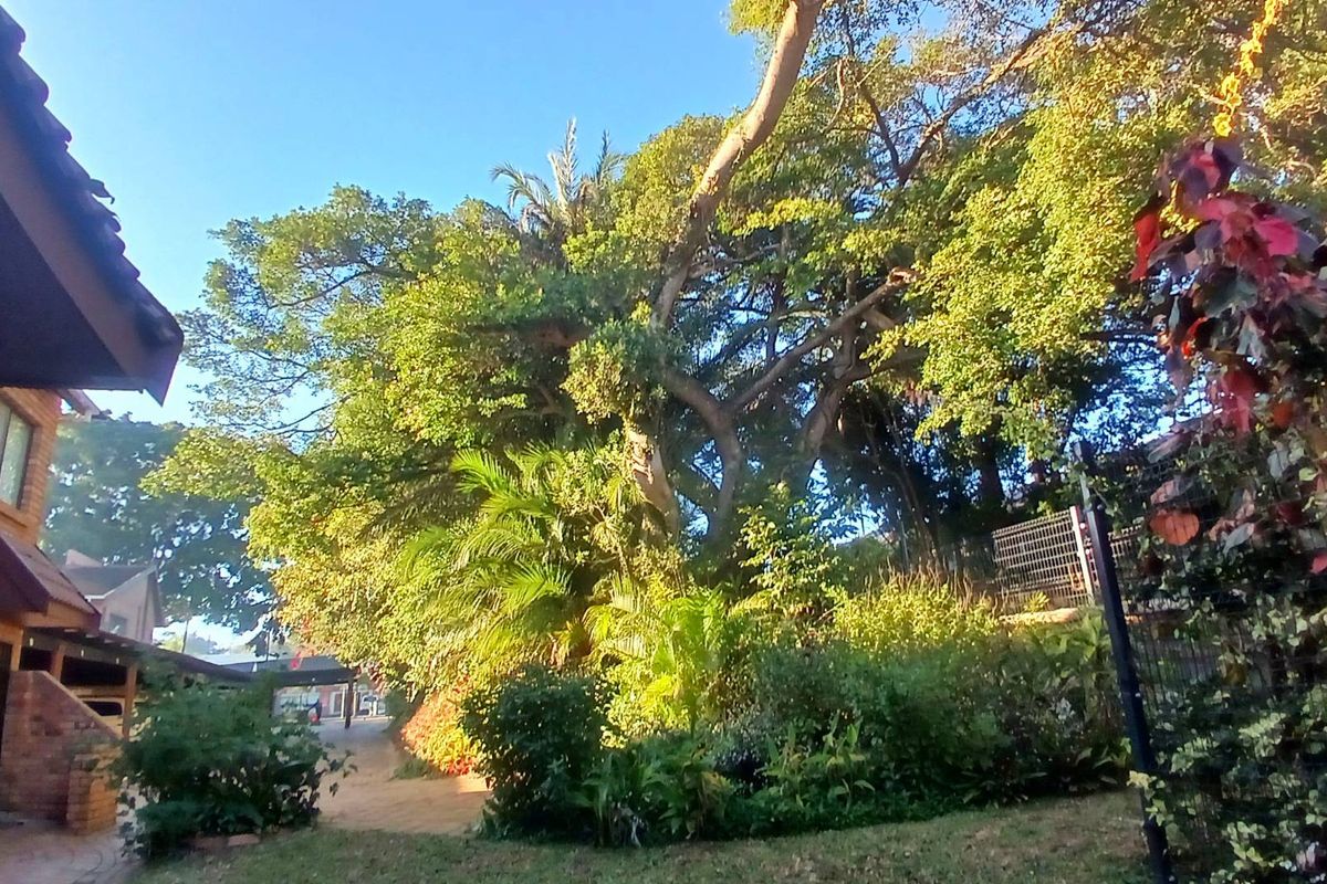 Prime location, perfect small family home - Photo 5