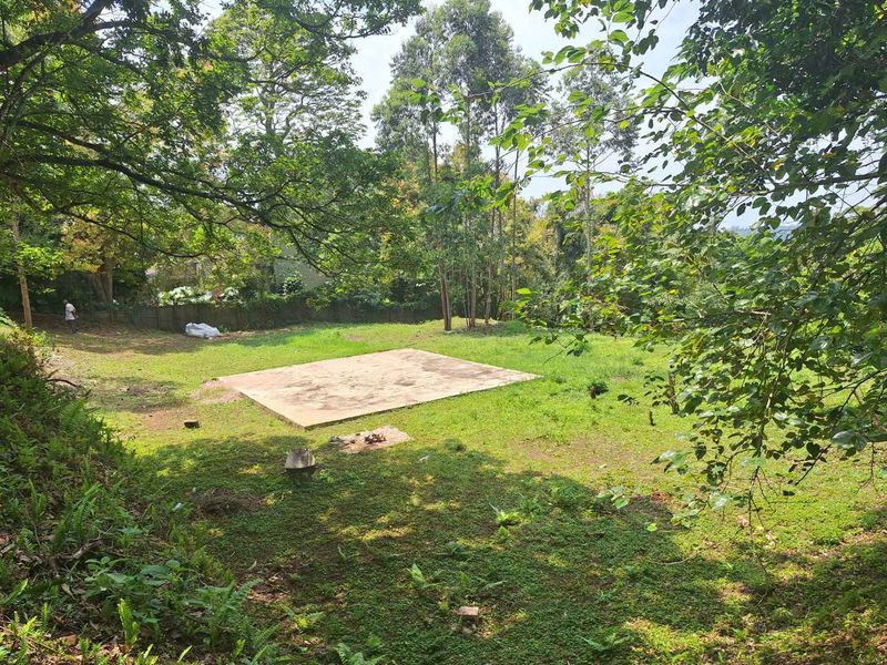 A Rare Sanctuary of Space, Security & Scenic Beauty - Photo 7