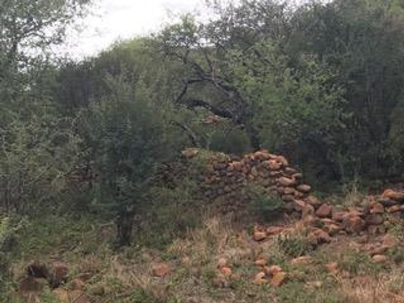 **A Rare Opportunity to Own a Piece of Paradise in Buffelsdrift Game Reserve** - Photo 9