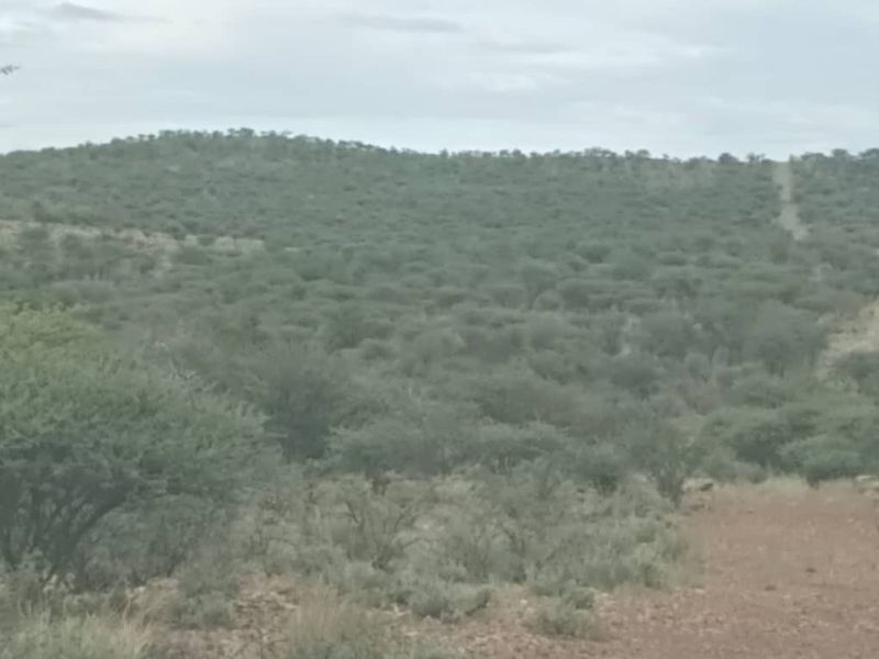 5 HECTARES FARM STYLE PLOT FOR SALE- FARM NARUXHAS - Photo 4