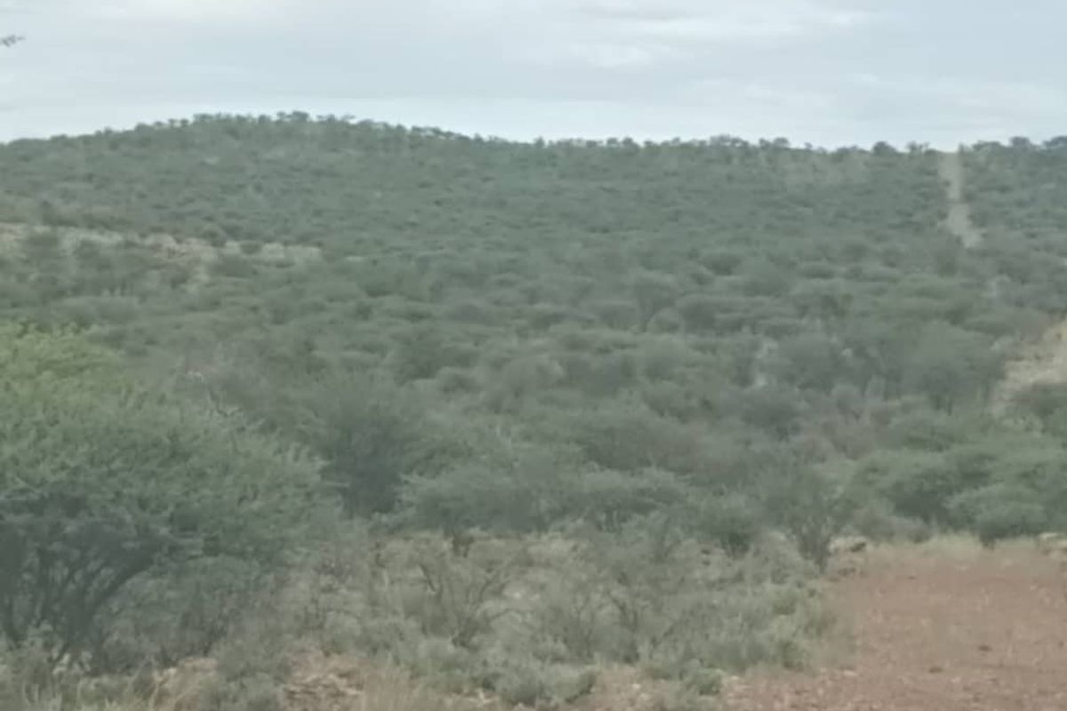 5 HECTARES FARM STYLE PLOT FOR SALE- FARM NARUXHAS - Photo 4