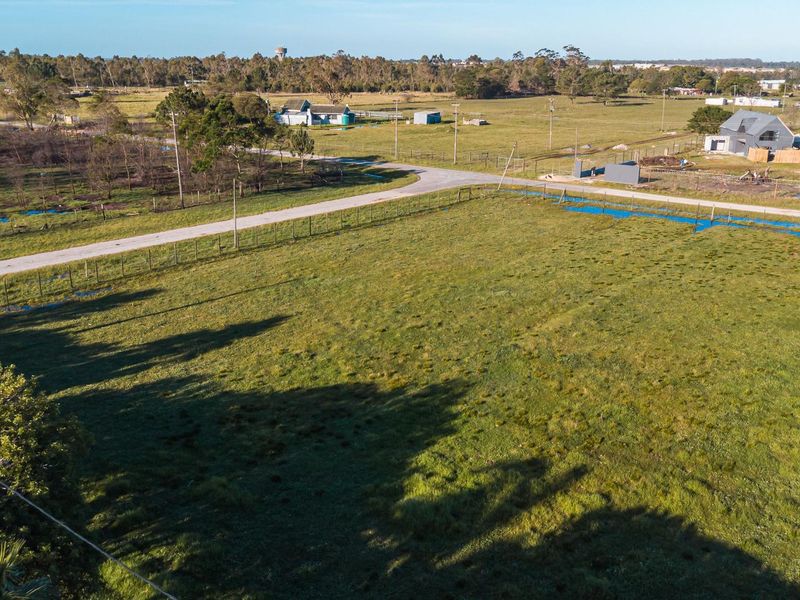 Rare Income-Generating Lifestyle Smallholding:2 Homes & Business Potential – Rendallton, Near Gqeberha - Photo 6