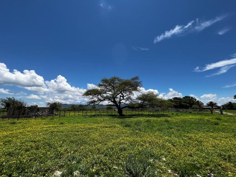 260 hectare agricultural plot, ideal for Centre pivot, feedlot or crop production - Photo 4