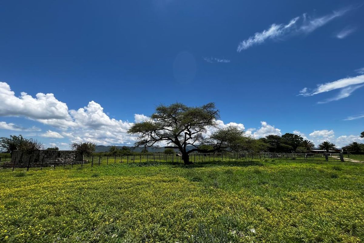260 hectare agricultural plot, ideal for Centre pivot, feedlot or crop production - Photo 4
