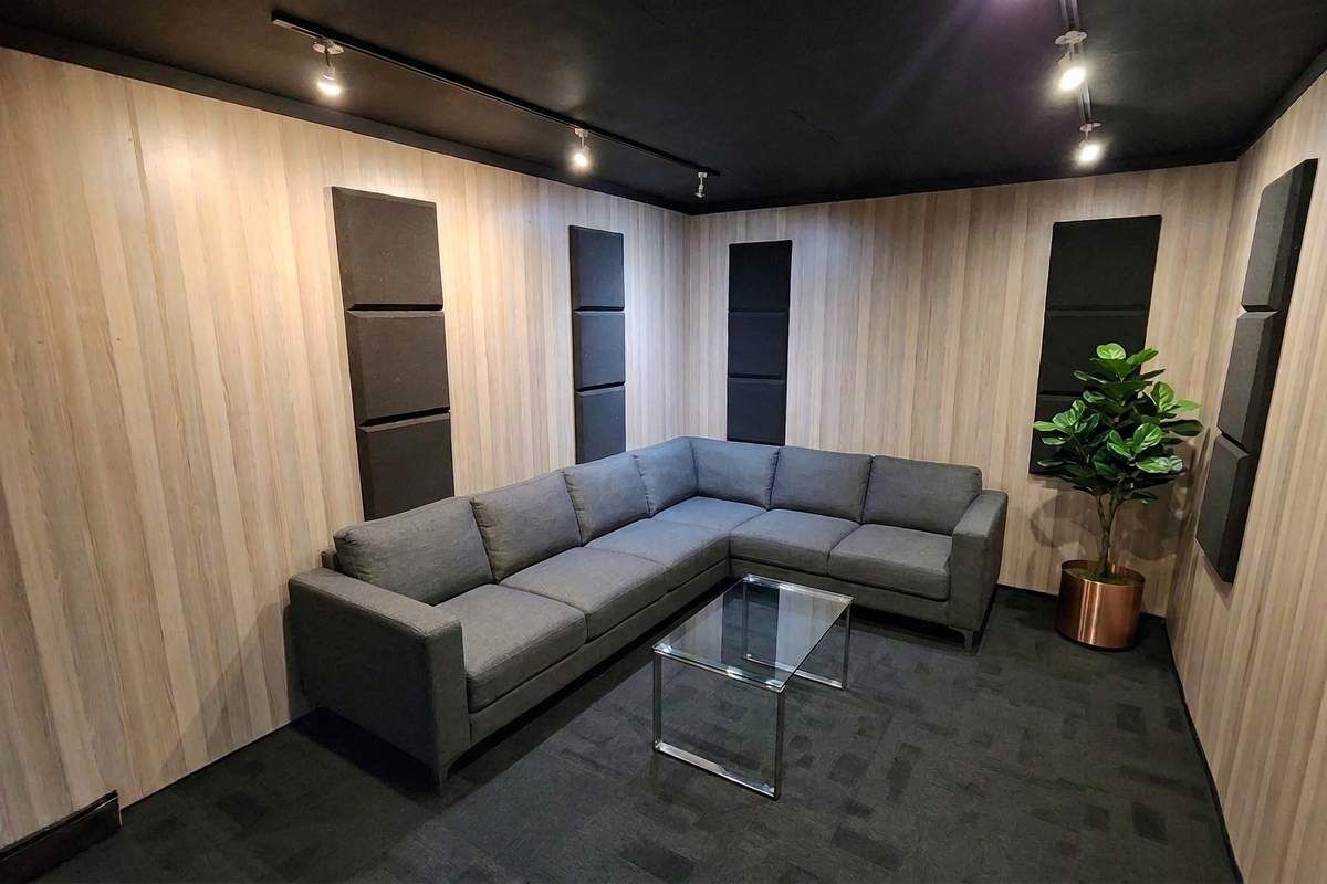 A modern living area featuring wood-look wall paneling, acoustic soundproofing panels, track lighting, and dark fitted carpeting.