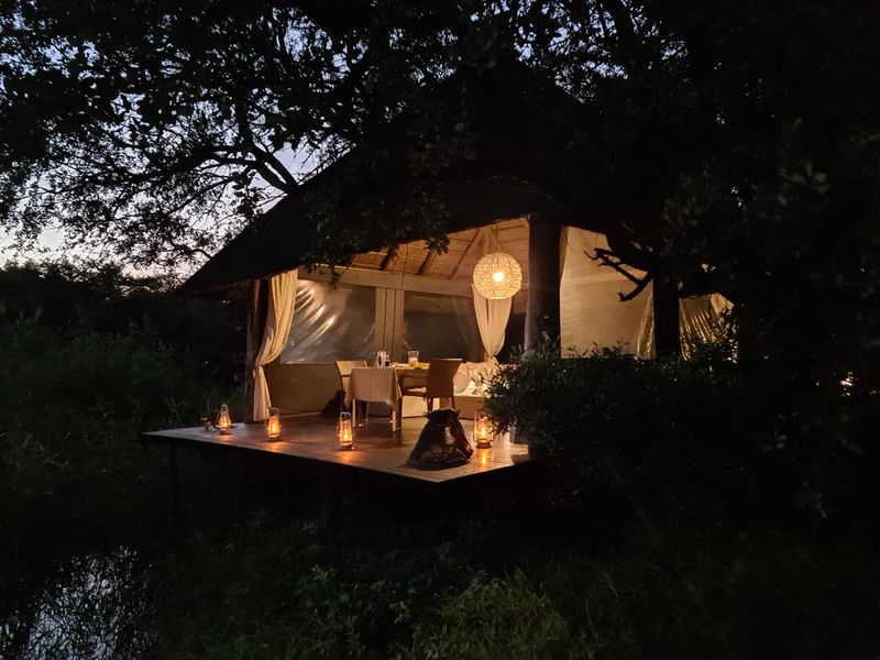 Rated Boutique Bush Lodge for Sale - Photo 10