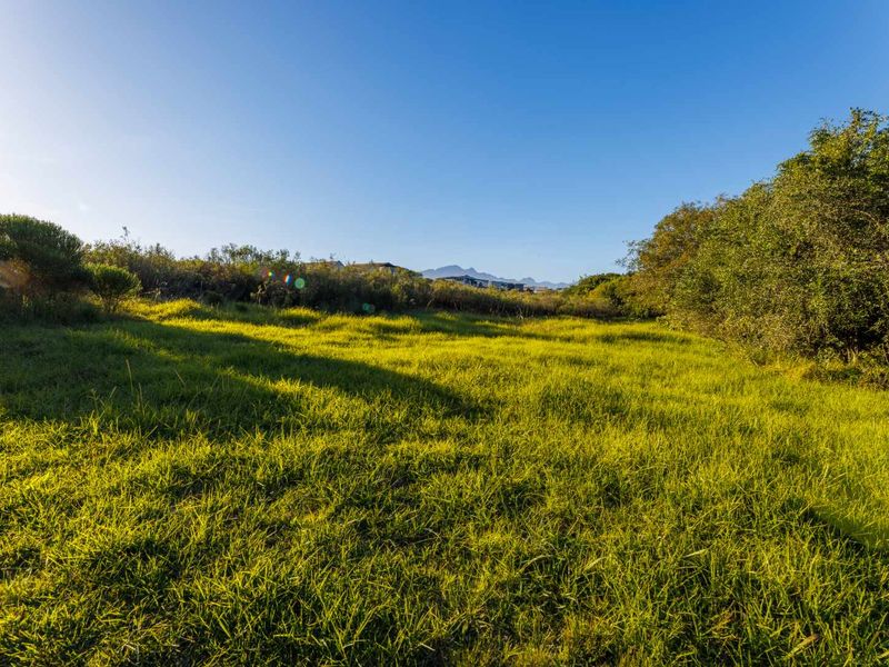 MOUNTAIN VIEW STAND IN QUIET CUL-DE-SAC IN OUBAAI GOLF ESTATE - Photo 3