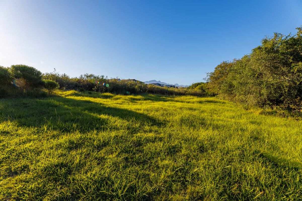 MOUNTAIN VIEW STAND IN QUIET CUL-DE-SAC IN OUBAAI GOLF ESTATE - Photo 3