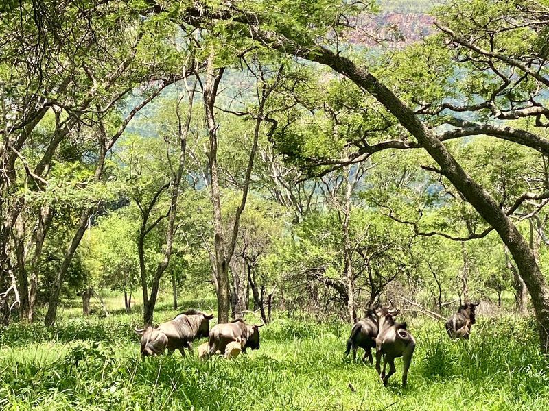 Riverfront Stand Now Available! - Photo 5