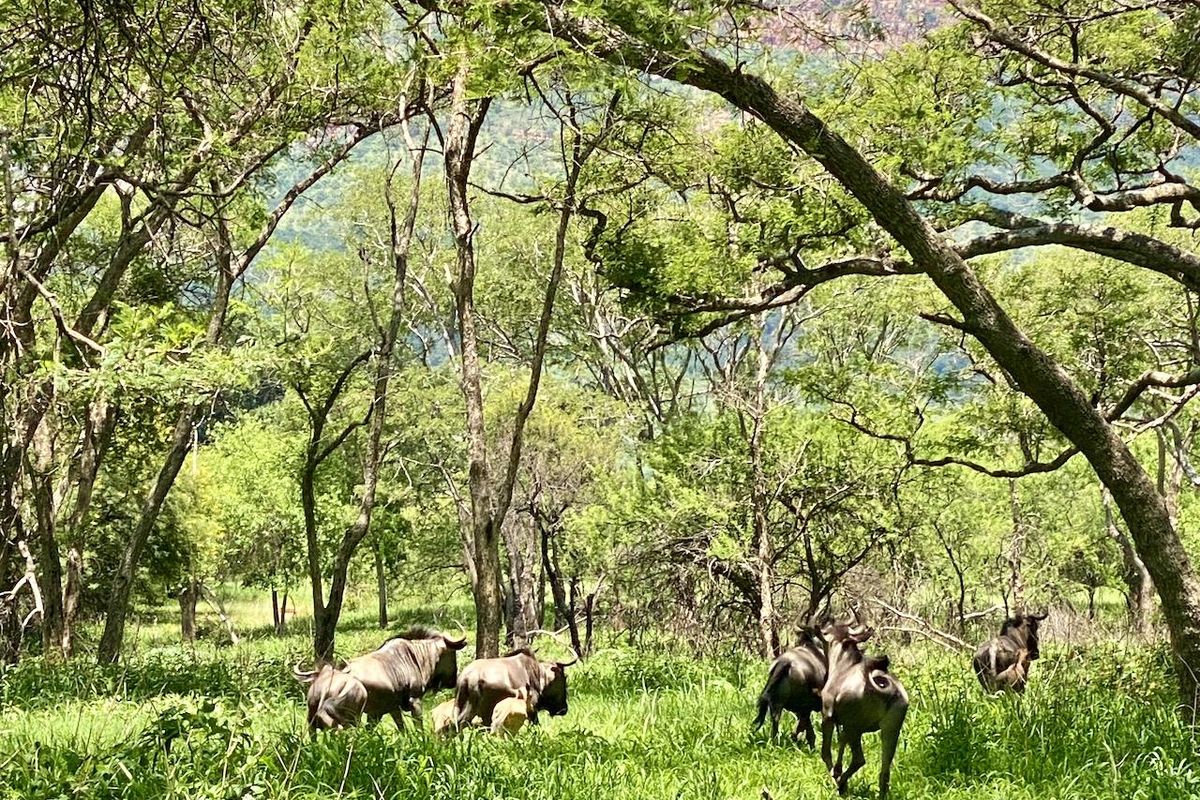 Riverfront Stand Now Available! - Photo 5