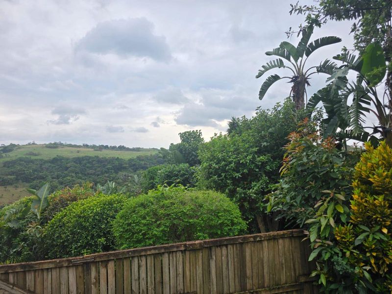 A scenic view overlooking lush green hills and natural landscape, framed by mature garden foliage and a timber boundary fence.