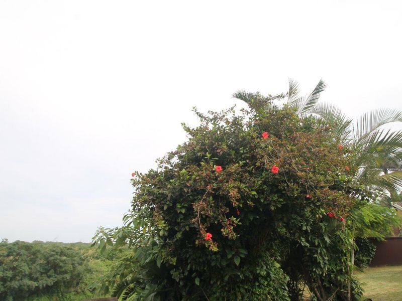 Spacious 4 Bedroom House for Sale - Photo 5