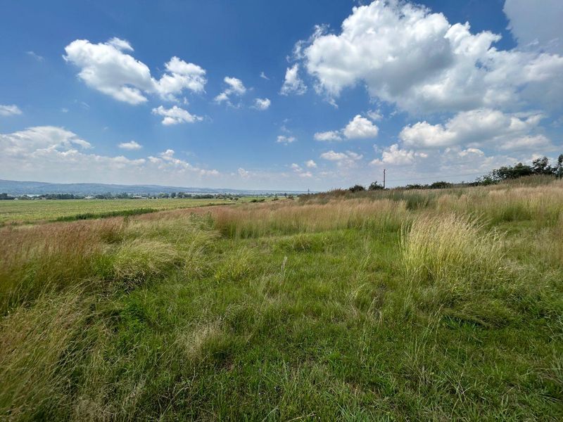 PRIME 8.9 HECTARE AGRICULTURAL LAND FOR SALE NEAR EYE OF AFRICA GOLF ESTATE - Photo 1