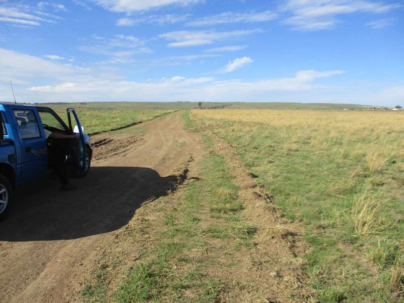 GREAT BUSINESS OPPORTUNITY - Photo 9