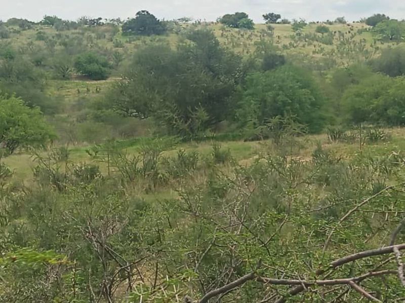 FOR SALE - FARM IN STAMPRIET, MARIENTAL AREA, NAMIBIA - Photo 3