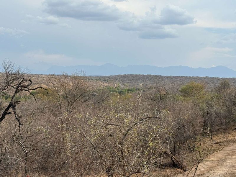 Beautiful stand in Elephant Eco Estate - Photo 5