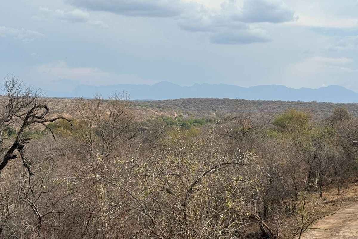 Beautiful stand in Elephant Eco Estate - Photo 5