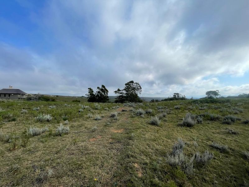 Exclusive 300 m2 Vacant Stand in Gondwana Big Five Game Reserve - Photo 2