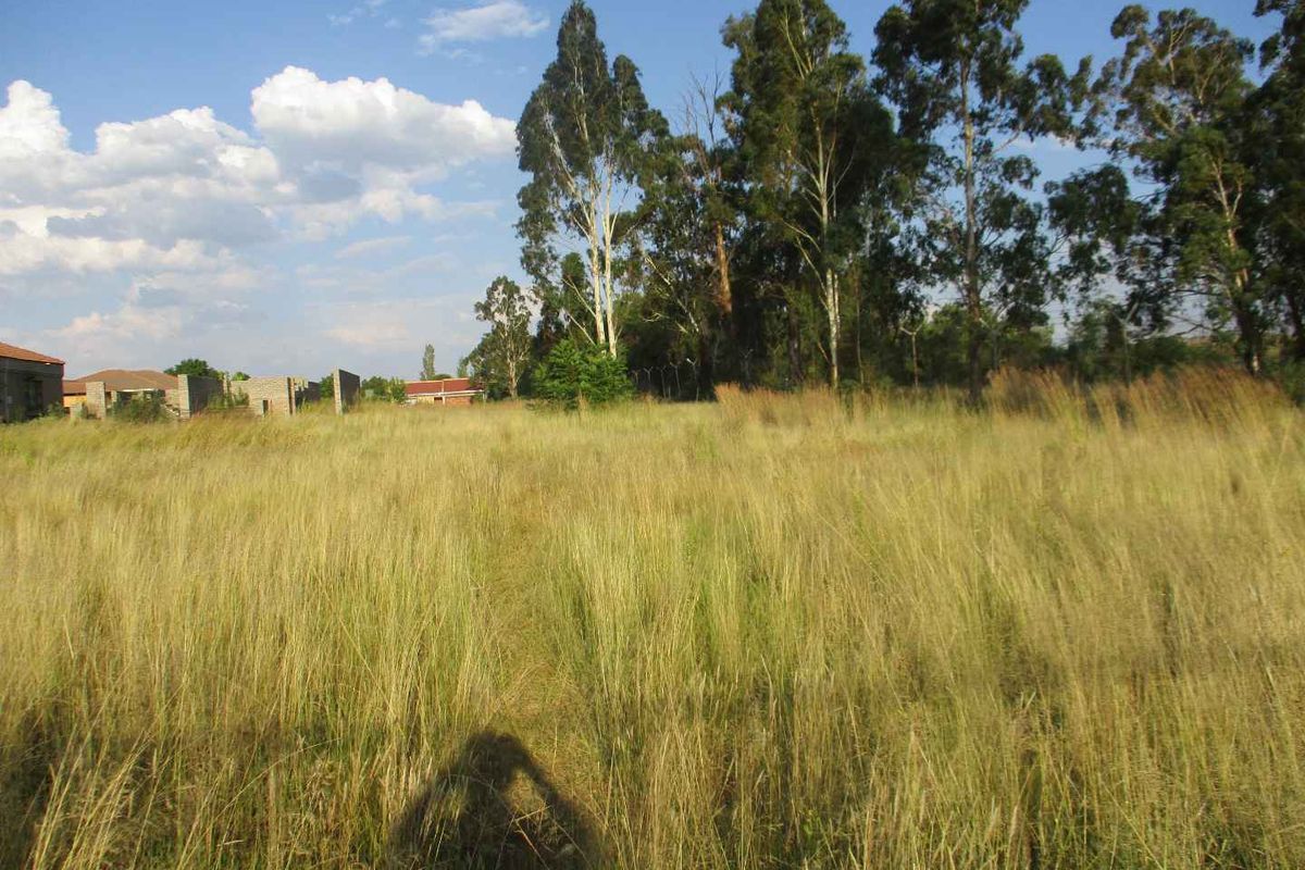 Henley Country lifestyle - Photo 5