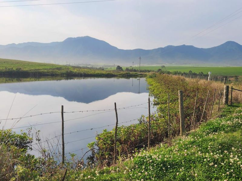 Scenic view of a farm dam with mountain backdrop, featuring rustic wire fencing and open pasture land.
