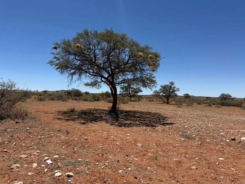 URGENT FARM SALE - Photo 8