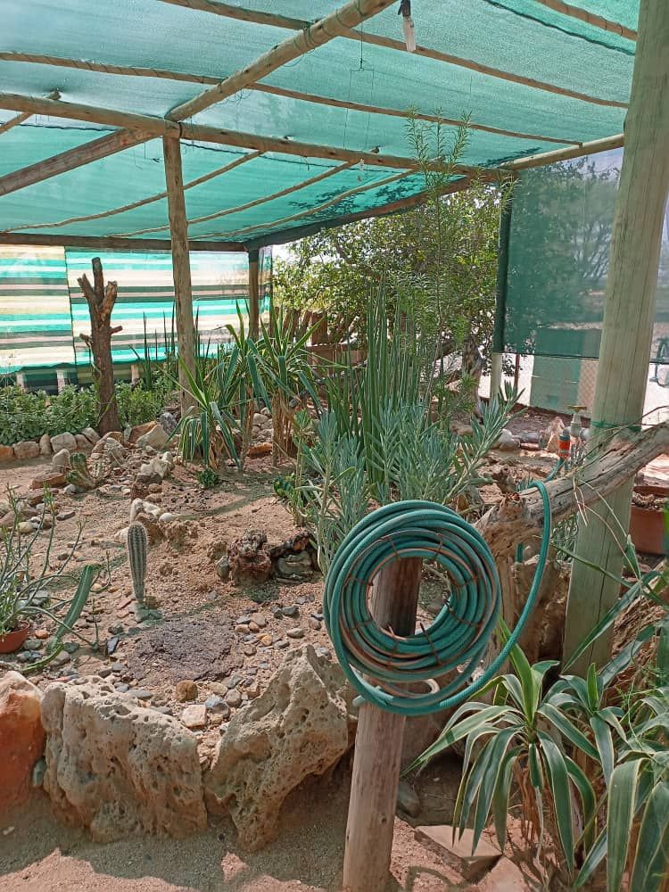 Green house for growing veggies