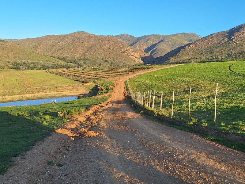 Water - Water - Water - Photo 6