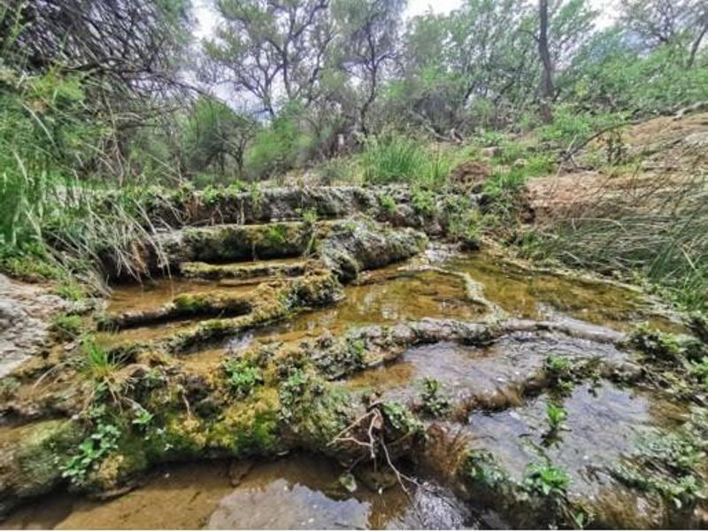 GAME, AGRICULTURAL FARM FOR SALE IN OUTJO AREA - Photo 7