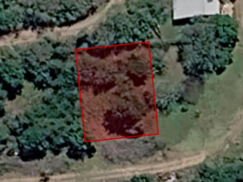 An aerial view of a vacant residential plot highlighted in red, surrounded by natural vegetation and dirt access paths.