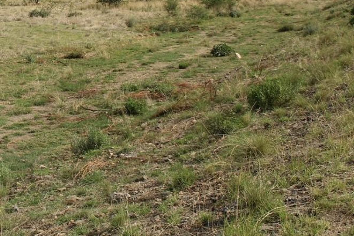 BRAKWATER - DOBRA VACANT LAND FOR SALE - Photo 3