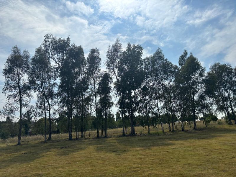 Build your dream on the Vaal dam. - Photo 10