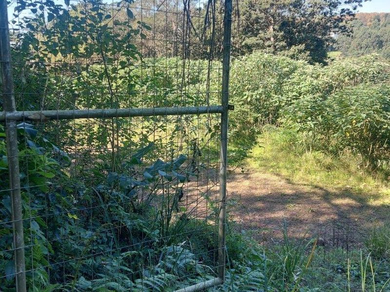 Stunning Vacant Land in Prime Hillcrest Location - Photo 7