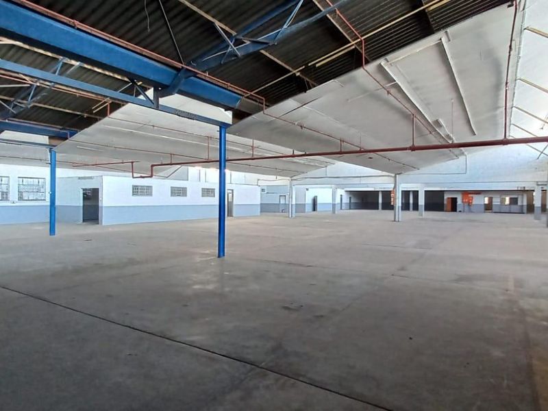 Industrial Property for Lease – Unit 03, Ben 05 - Photo 4