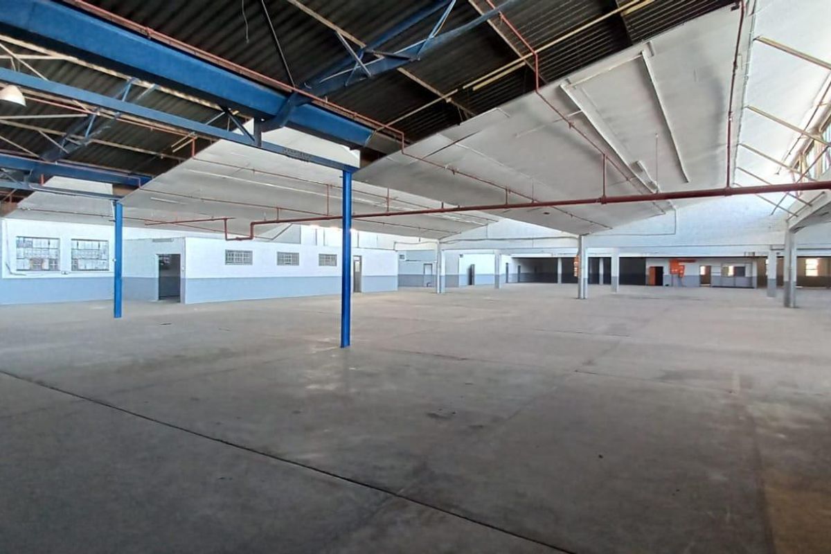 Industrial Property for Lease – Unit 03, Ben 05 - Photo 4