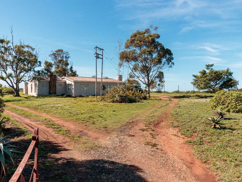Fertile Soil & Endless Views – An Agricultural Dream Near Uitenhage. - Photo 9
