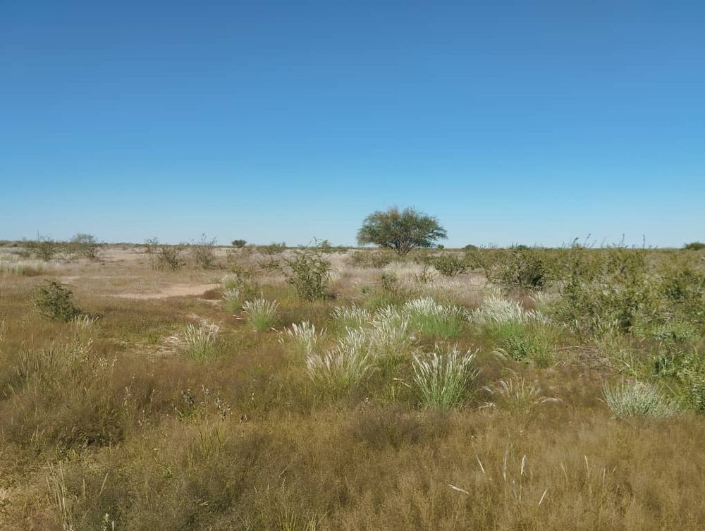 overview of farm land