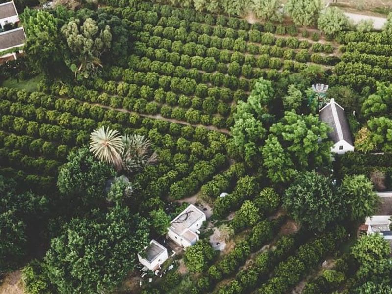 Stunning Cape Dutch Farm for Sale in Clanwilliam – A Picturesque Retreat with Luxurious Accommodations and Prime Agricultural Potential - Photo 4