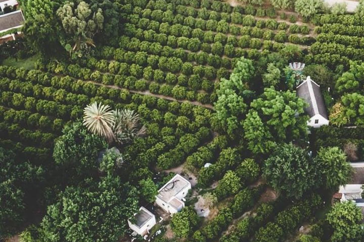 Stunning Cape Dutch Farm for Sale in Clanwilliam – A Picturesque Retreat with Luxurious Accommodations and Prime Agricultural Potential - Photo 4