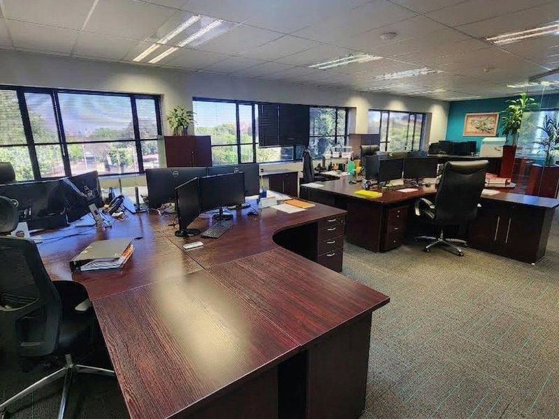 Spacious open-plan office area featuring large windows providing natural light, suspended ceilings with recessed lighting, and durable carpeted flooring.