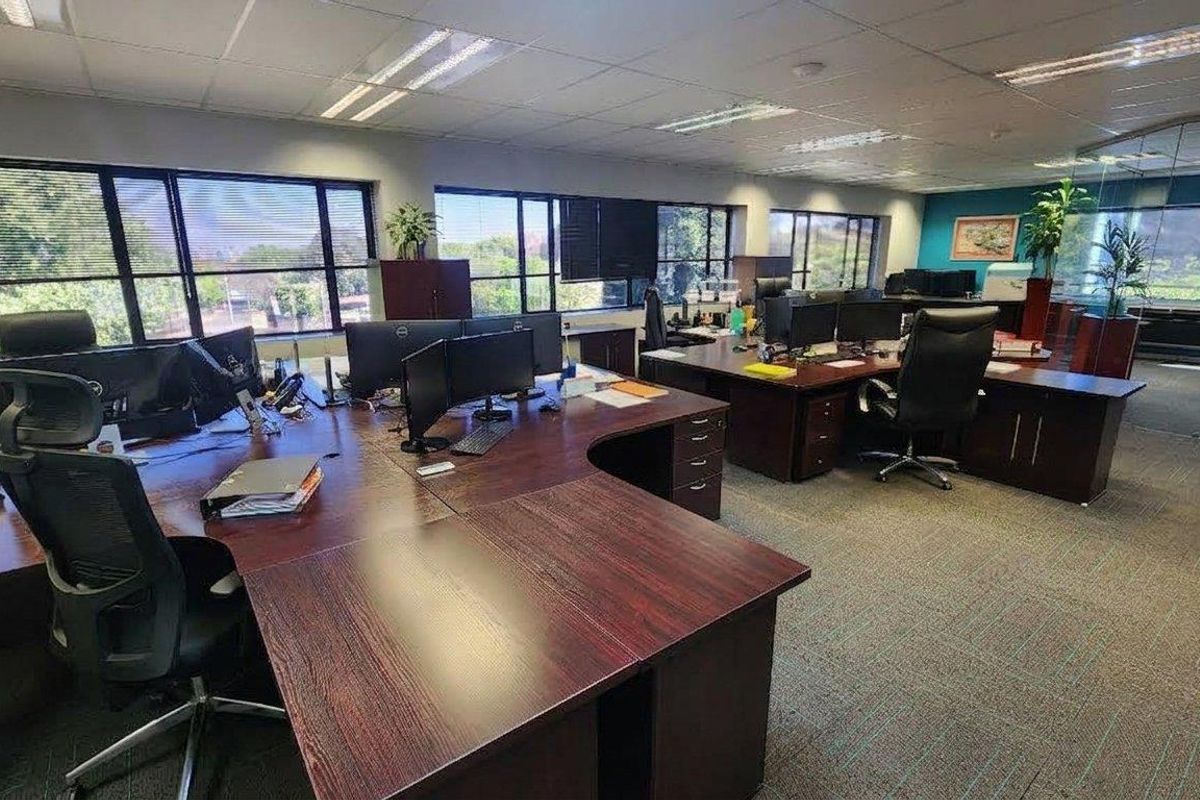 Spacious open-plan office area featuring large windows providing natural light, suspended ceilings with recessed lighting, and durable carpeted flooring.