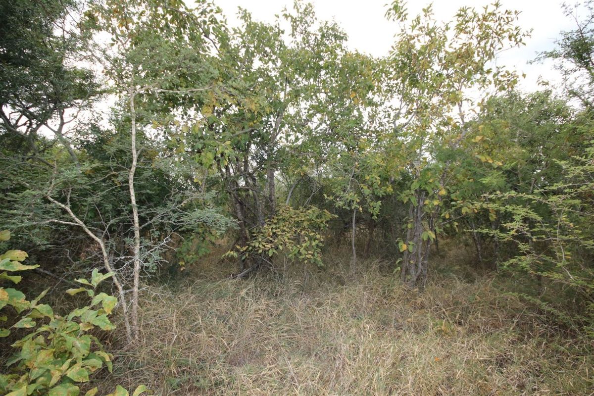 Vacant Land in MODITLO NATURE RESERVE - Photo 3