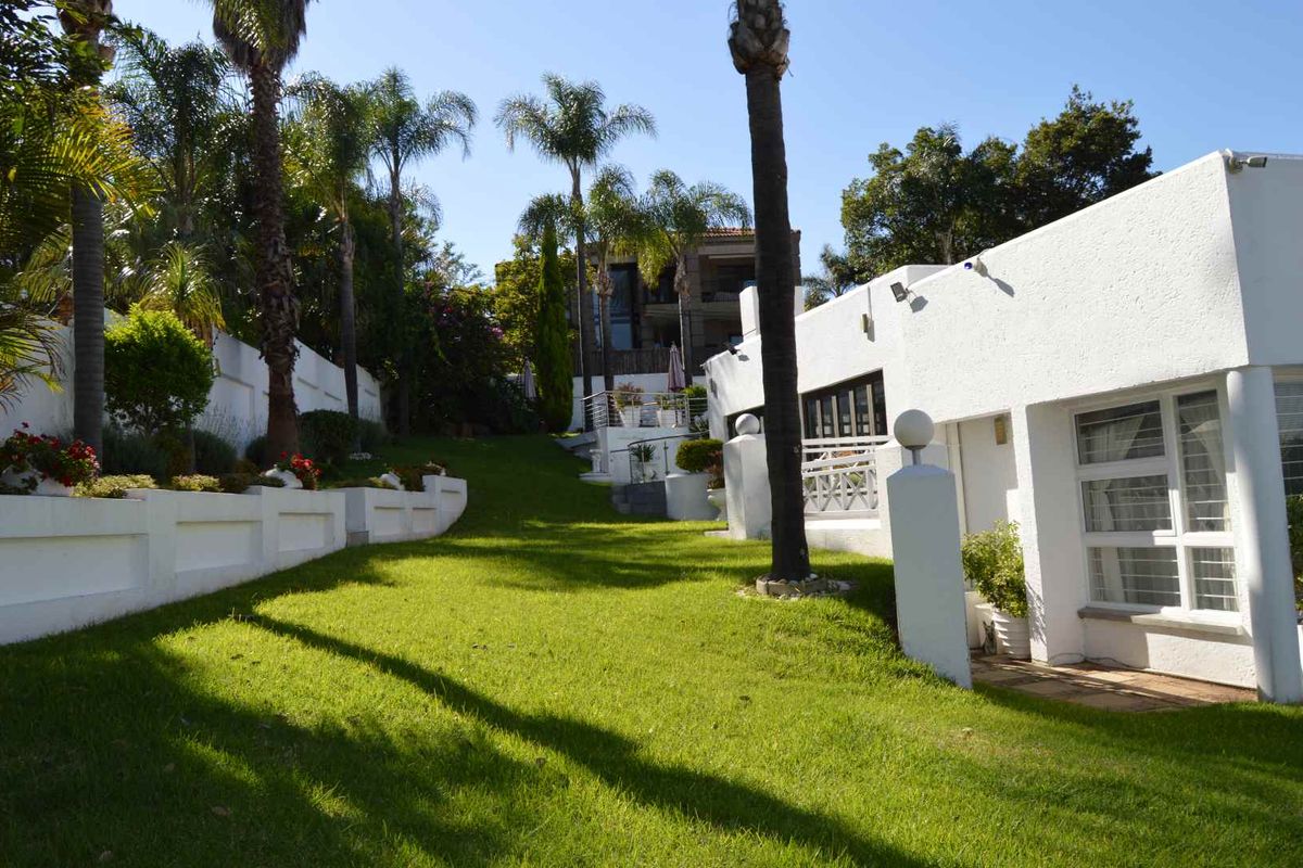 A well-maintained rear garden featuring tiered retaining walls, mature palm trees, and a paved pathway leading towards the main residence.