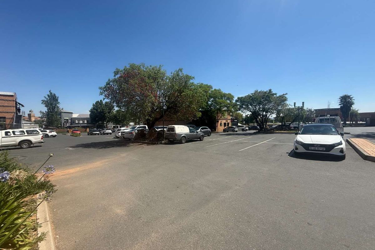 An open-air asphalt parking lot serving the retail property, featuring marked parking bays and established trees.